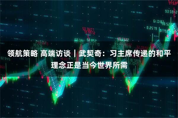 领航策略 高端访谈｜武契奇：习主席传递的和平理念正是当今世界所需
