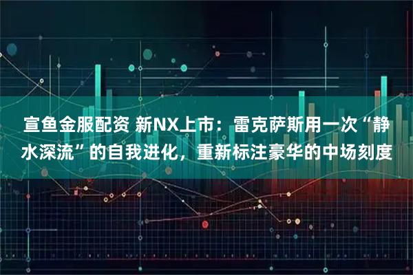 宣鱼金服配资 新NX上市：雷克萨斯用一次“静水深流”的自我进化，重新标注豪华的中场刻度