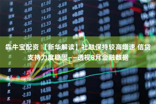 犇牛宝配资 【新华解读】社融保持较高增速 信贷支持力度稳固——透视8月金融数据
