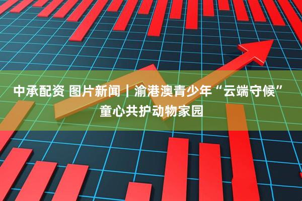 中承配资 图片新闻｜渝港澳青少年“云端守候” 童心共护动物家园
