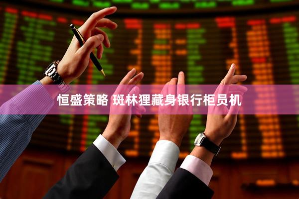 恒盛策略 斑林狸藏身银行柜员机