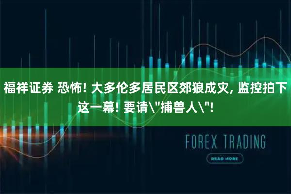 福祥证券 恐怖! 大多伦多居民区郊狼成灾, 监控拍下这一幕! 要请