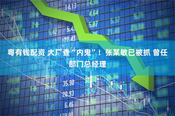 粤有钱配资 大厂查“内鬼”!张某敏已被抓 曾任部门总经理