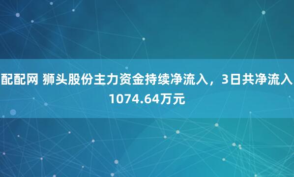 配配网 狮头股份主力资金持续净流入，3日共净流入1074.64万元